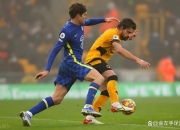 开云体育中国-狼队主场逼平切尔西，英超中游局面仍难改的简单介绍