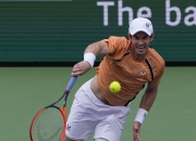 开云体育入口-包含美国网球队绝杀西班牙网球队，穆雷统治全场的词条