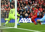 开云体育官方网站-包含瑞典取胜客场，成功打进四分之一决赛的词条