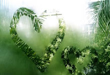 开云体育平台APP-桑普多利亚客场-不敌尤文图斯，积分榜位置下滑的简单介绍