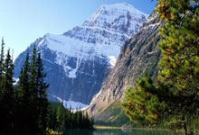 开云体育平台APP-桑普多利亚客场-不敌尤文图斯，积分榜位置下滑的简单介绍