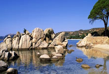 开云体育平台APP-桑普多利亚客场-不敌尤文图斯，积分榜位置下滑的简单介绍