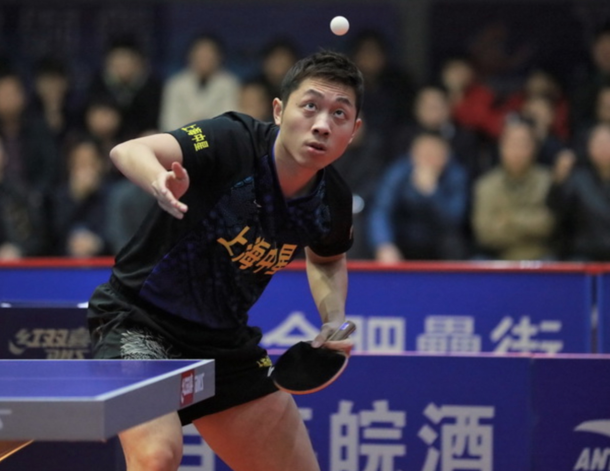 日本乒乓球队完胜瑞典乒乓球队,许昕高光表现的简单介绍 日本乒乓球队完胜瑞典乒乓球队,许昕高光表现的简单介绍