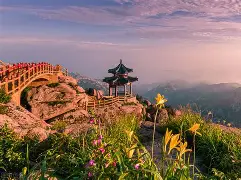 山东鲁能逆袭成功，持续发力追赶