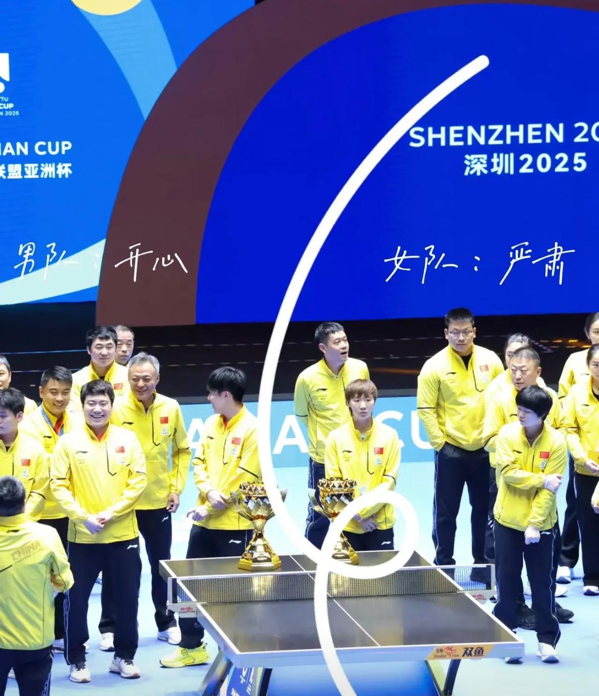 精湛技术和默契配合，球队赏心悦目的表现的简单介绍