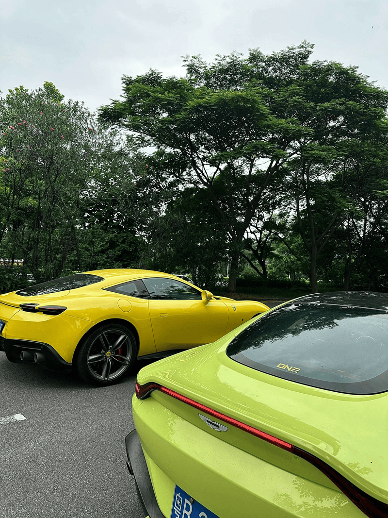 阿斯顿马丁轻取法拉利,诺里斯扛起全队的简单介绍 阿斯顿马丁轻取法拉利,诺里斯扛起全队的简单介绍