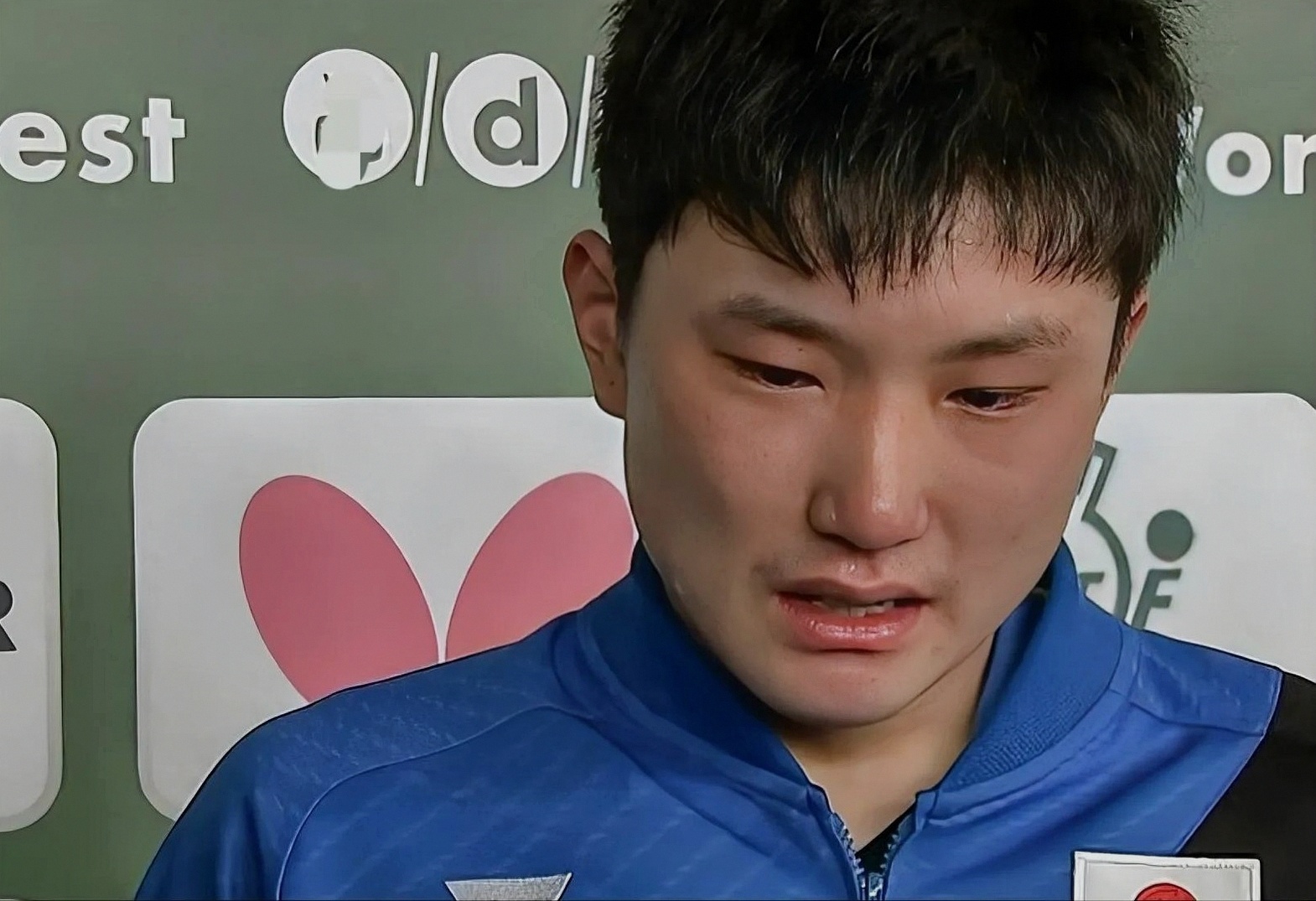 奥地利队鏖战法国队,张本智和带队取胜的简单介绍 奥地利队鏖战法国队,张本智和带队取胜的简单介绍