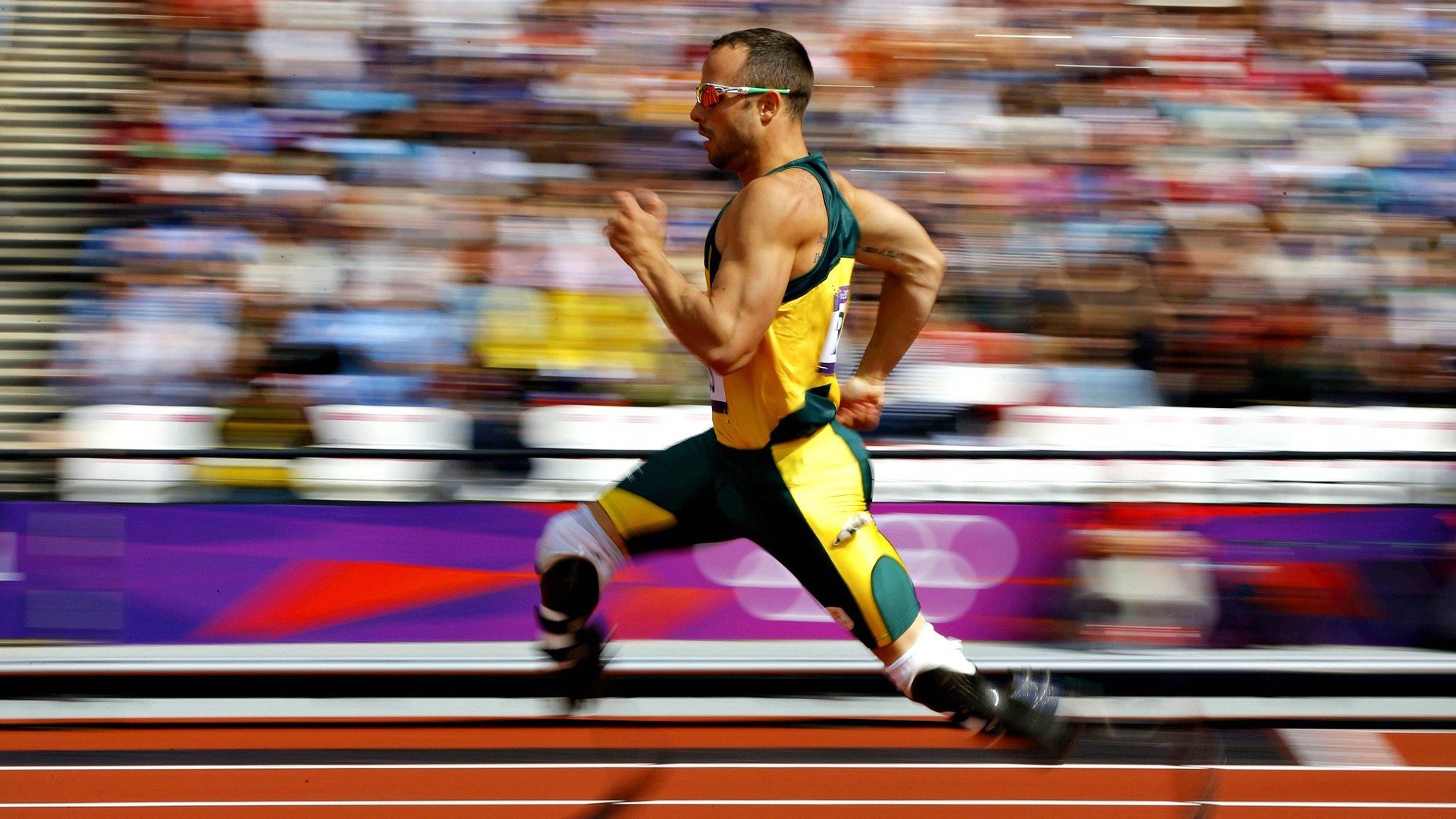 从拉沃尔杯到ATP总决赛，穆雷的翻盘传奇与纪录刷新之路